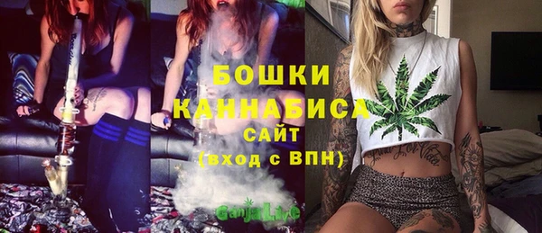 СК Зеленокумск