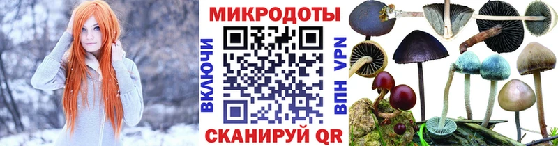 Купить где  Пласт  Галлюциногенные грибы Psilocybe 